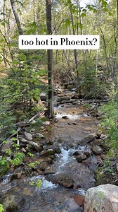 296K views · 3.8K reactions | It already feels like summer in Arizona, and it’s only going to get warmer! The white mountains are my favorite place to go! Head to Greer or alpine area for some high country adventures! We love staying in Pinetop for a base camp or camping in the Apache sitgreaves National Forest. Always leave no trace: PICK UP YOUR TRASH!! :) Enjoy the white mountains, and if you have questions, just message me! | Hikersledge | Facebook