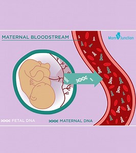 What Is NIPT Test And What Are Its Possible Results? - MomJunction