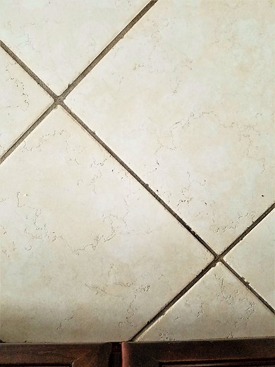 Honest Review of Black Diamond Ultimate Grout Cleaner - Renee Romeo