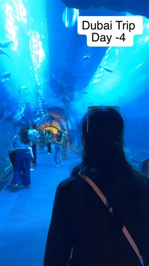 Samreet Bajwa on Reels