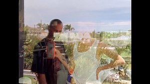 21 Paraíso | ASFF 2024