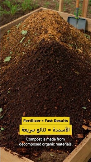 🌱 “Compost vs Manure vs Fertilizer | Which One is Best for Your Plants? | 📞+971 58 1101177