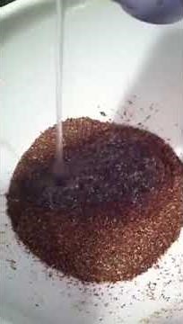 Making raw vegan gluten-free buckwheat flax bread part 1