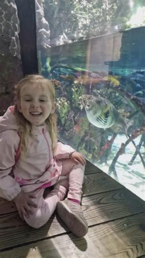 'Tanks' to everyone who shared their lovely nostalgic memories and photos with us! There were so many entries, it was hard to choose a winner. 🐠 Here are just some of our favourites from the comments, with the winning photo featured at the end... 📽 #TheDeepHull #Hull #Aquarium #Nostalgia #NostalgicPhotos #FamilyVisits | The Deep
