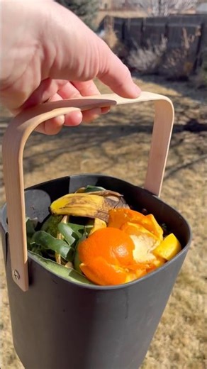 Home Composting: Turning Food Waste Into Soil