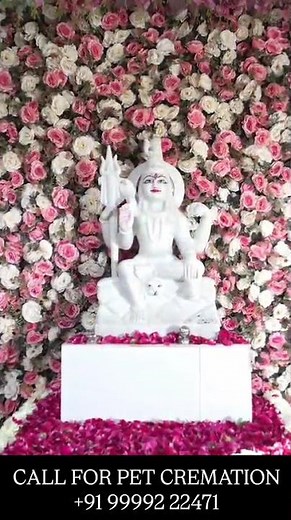 Respectful & Compassionate Pet Cremation Services | Respectfully Pet Cremation 🐾