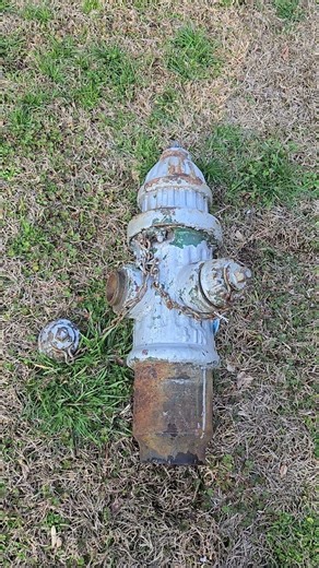 Is that a fire hydrant in your pocket? What should I do with this thing? #farmlife #art #weirdstuff