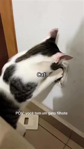 kitty on Instagram: "n Japan, researchers are using smart walkways to turn everyday activities into clean energy 4. These roads are embedded with special piezoelectric material that can collect kinetic energy from pedestrians' footsteps. When people walk, run or jump, the road surface is slightly deformed, creating mechanical pressure. Piezoelectric crystals convert this pressure into electrical energy. This energy can be used to illuminate street lights, power public displays, and even monitor