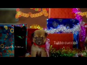 Sky 1 HD Italy Christmas Advert and Ident 2016