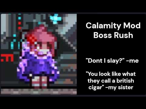 Beating Terraria Calamity Mod Boss Rush Solo