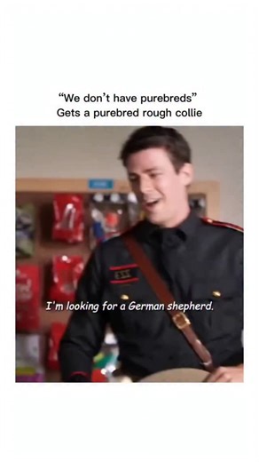 Movies ¦ Entertainment ¦ Hub on Instagram: "🎬 Rescued by Ruby 🐕❤️ (2022 Movie) 🎥 1h 33m • Family • Drama • Based on a True Story 🎞️ Rescued by Ruby tells the inspiring true story of a state trooper who dreams of joining the K-9 search and rescue team. When he adopts Ruby, a hyperactive shelter dog, their unbreakable bond and shared determination lead to an incredible journey of hope, second chances, and teamwork. 📈 𝐑𝐚𝐭𝐢𝐧𝐠𝐬: IMDB – 7.1/10 Rotten Tomatoes – 100% Google Users – 94% like