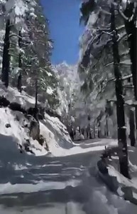 Chail Road ❤ Incredible Himachal Pradesh @Channa Harpreet | Himachal pixels