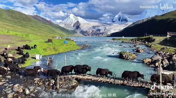 #tiktok 🇨🇳 锦绣山河 𝐁𝐞𝐚𝐮𝐭𝐢𝐟𝐮𝐥 𝐂𝐡𝐢𝐧𝐚 🏮 🍁 萨普神山 西藏 sàpǔ shénshān xīzàng 🍁 🌸 Montages sacrées du Sapu, Tibet 🌸 🏮 Sacred Mountains of Sapu, Tibet🏮 🎥@NoOne晓东 #China #art #Beautiful #music #beauty