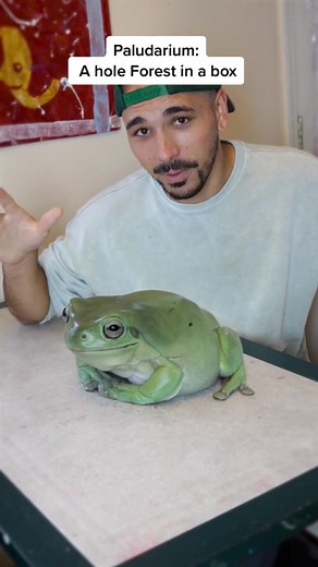 Unusual Pet Conundrum: The World's Biggest Frog