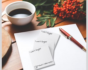 I Won’t Forget Funny Post-it® Notes: 3" X3" Sticky Notes 50 Sheet Pad - Etsy