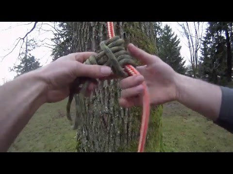 How to tie a Prussik hitch for tree climbing | Arborist knot tying