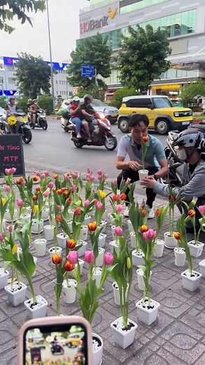Bán Hoa Tulip: Ý Nghĩa và Cách Trồng