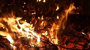 If you've never been, it's one of the best and biggest parties in North Florida: The Dollar Family's Annual Christmas Tree Burning Party! So, next year, if you see someone stealing your Christmas tree you've left on the curb, you can rest assured they are taking it for this party. Then hop in your car and follow them. It's a good time! Thanks to the Dollar family! | LIVE In Tallahassee
