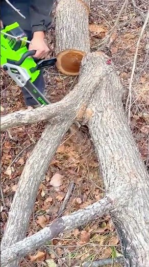 Powerful Electric Chainsaw Expertly Cutting Through Fallen Tree Branches