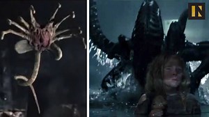 38K views · 168 reactions | The Alien Lifecycle: Going from egg to facehugger to mass murdering super soldier. | Inverse | Facebook