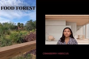 Laura Castillo - Fat Beet Farm ACE Internship