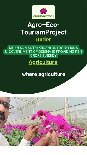 Agro-Eco Escapes Harvest memories in harmony with nature | Orchid Biotech