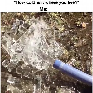 3.9M views · 5.6K reactions | Monica on Reels | Facebook