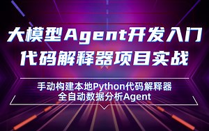 大模型Agent开发入门实战：本地Python代码解释器