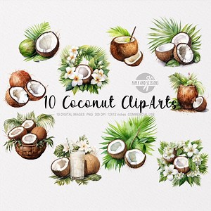 10 Coconut Clipart, Coconut PNG, Coconut Illustration, Watercolor Coconutss, Exotic Fruit Clipart, Coconut and Palm Leaves Collection - Etsy