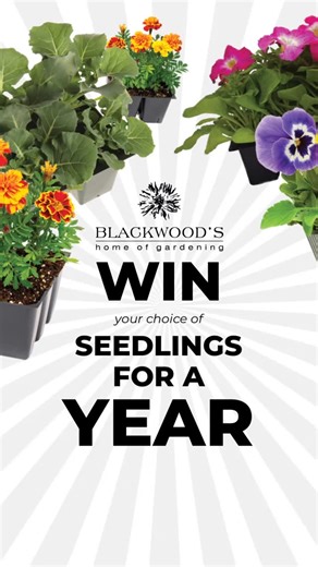 Blackwood's on Instagram: "2026 is about to bloom in the BEST way possible! 🌸 We’re kicking off the new year with a fabulous competition for you! One lucky gardener at EACH of our 5 Blackwood’s stores will win a full year of colour with seedlings for a year. Yes — you read that right. - 10 trays of fresh seedlings of their choice EVERY month - For 12 whole months - FREE That’s a full year of planting, planning and watching your garden transform season after season. Ready to grow your happiest g