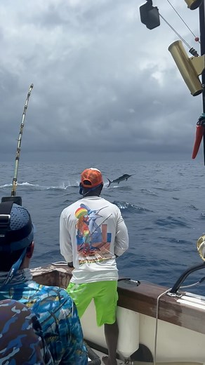 Hooked two small blues today about one hot bill wrapped came off close to boat another great day with @stephane_millez @captain_frothy and crew of Black Pearl #marlin #fishing | Carey Chen Art