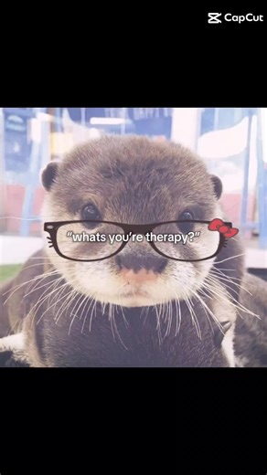 Maximi.۶ৎ. on TikTok