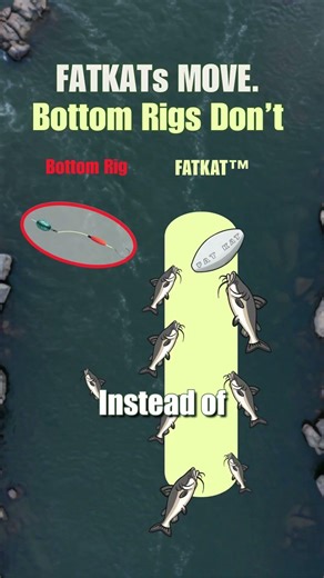 River Fishing Tips: How To Catch Flathead, Blue & Channel Catfish: FATKAT Best Catfishing Rigs!