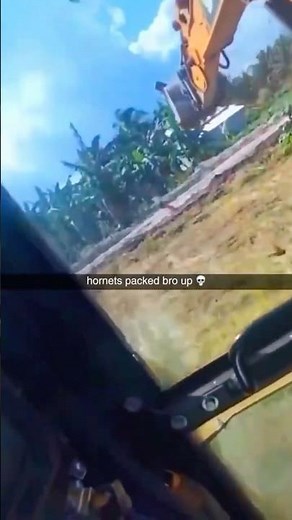 #shorts #memes #fyp #wild #funny