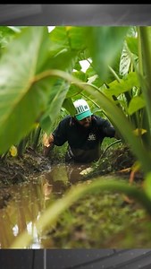 “The Roots and Reach program is all about pride in place, power in people, building from the roots up.” Team culture —> winning culture Shout out to the #HawaiiMBB General Manager Patty Mills for joining us at the halftime break and a bit into the second half. | Spectrum Sports Hawaii