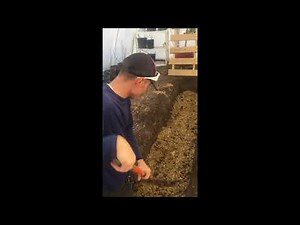 Heating Your Greenhouse with Compost: How to