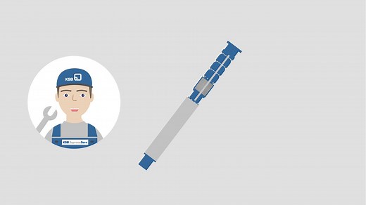 Pump set service: pump repair including motor repair