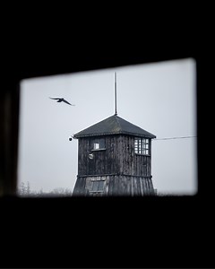 Operation Reinhardt was one of the most devastating and least understood chapters of the Holocaust. Millions of people were murdered in places that are not widely known, in camps built for the sole purpose of immediate extermination. We all need to understand exactly how quickly hatred becomes policy, and how indifference becomes complicity. Join the #WeRemember campaign for International Holocaust Remembrance Day. This history must never be forgotten. www.AboutHolocaust.org | World Jewish Congr