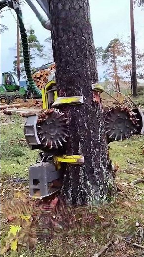 Timber harvesting process with a harvester