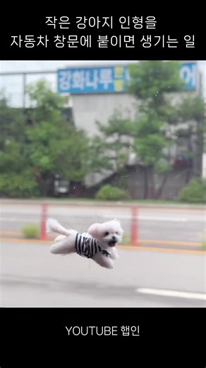 미니 강아지 인형 만들기: 양모펠트 팁과 아이디어