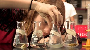 Competency-Based Learning: Developing Mastery of Skills and Content