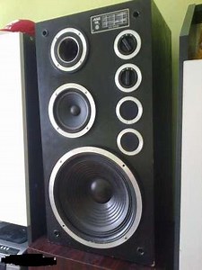 Altus 110 za 250zł z nieoryginalnymi głośnikami basowymi - warto?