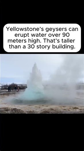 Yellowstone Geysers Can Shoot Water 90 Meters High