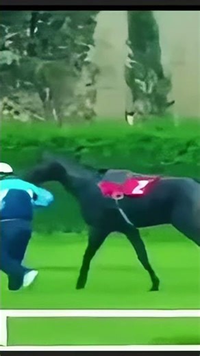 The Horse That Silenced 100,000 People: The True Story of Bold Pilot 🤫🏇