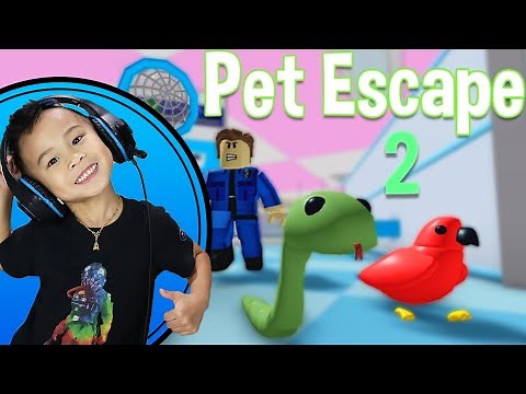 Pet Escape 2 Roblox Gameplay! Let's Play Pet Escape 2 Roblox