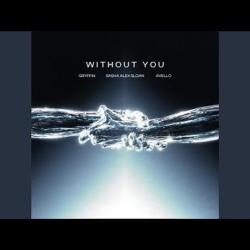 Without You (feat. Sasha Alex Sloan)