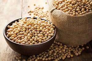What is soy protein isolate side effects? [2025] | QAQooking.wiki