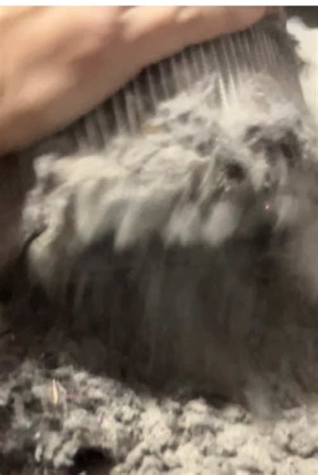 Satisfying Vacuum Cleaner Filter Cleaning Technique