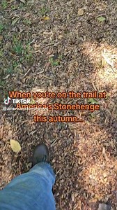 20 reactions | The fall foliage is gearing up in New Hampshire, and our nature trail is open all season for anyone that wants to revel in this breathtaking New England scenery! #americasstonehenge #fall #autumn #foliage #nature | America's Stonehenge | Facebook