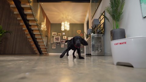 Fish Mate F14 Aquarium Fish Feeder 14 Meal Automatic Aquarium Fish Feeder